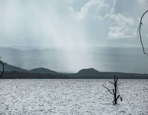 An excursion to Lake Naivasha for the day