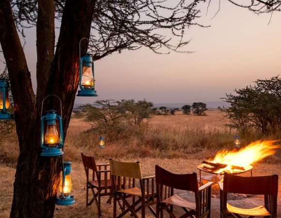 7 Days All-Inclusive Premium Tanzania Luxury Safari