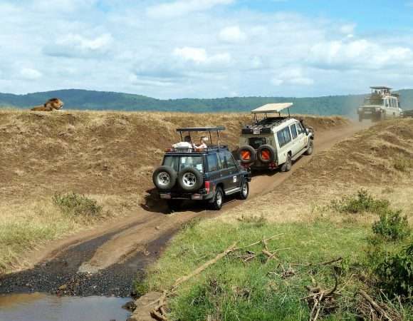 The Ultimate 8–Day Safari - Lake Manyara, Serengeti, Ngorongoro Crater, and Tarangire